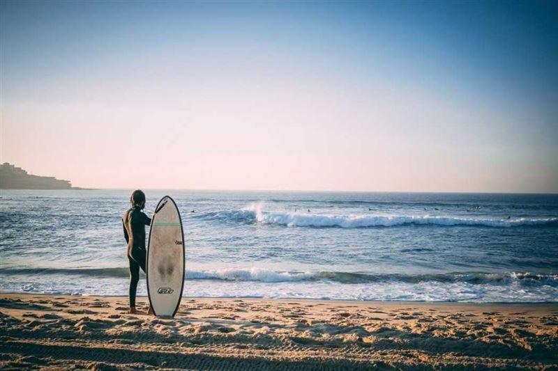 제프리스 베이 Dolphin Retreat 빌라 외부 사진